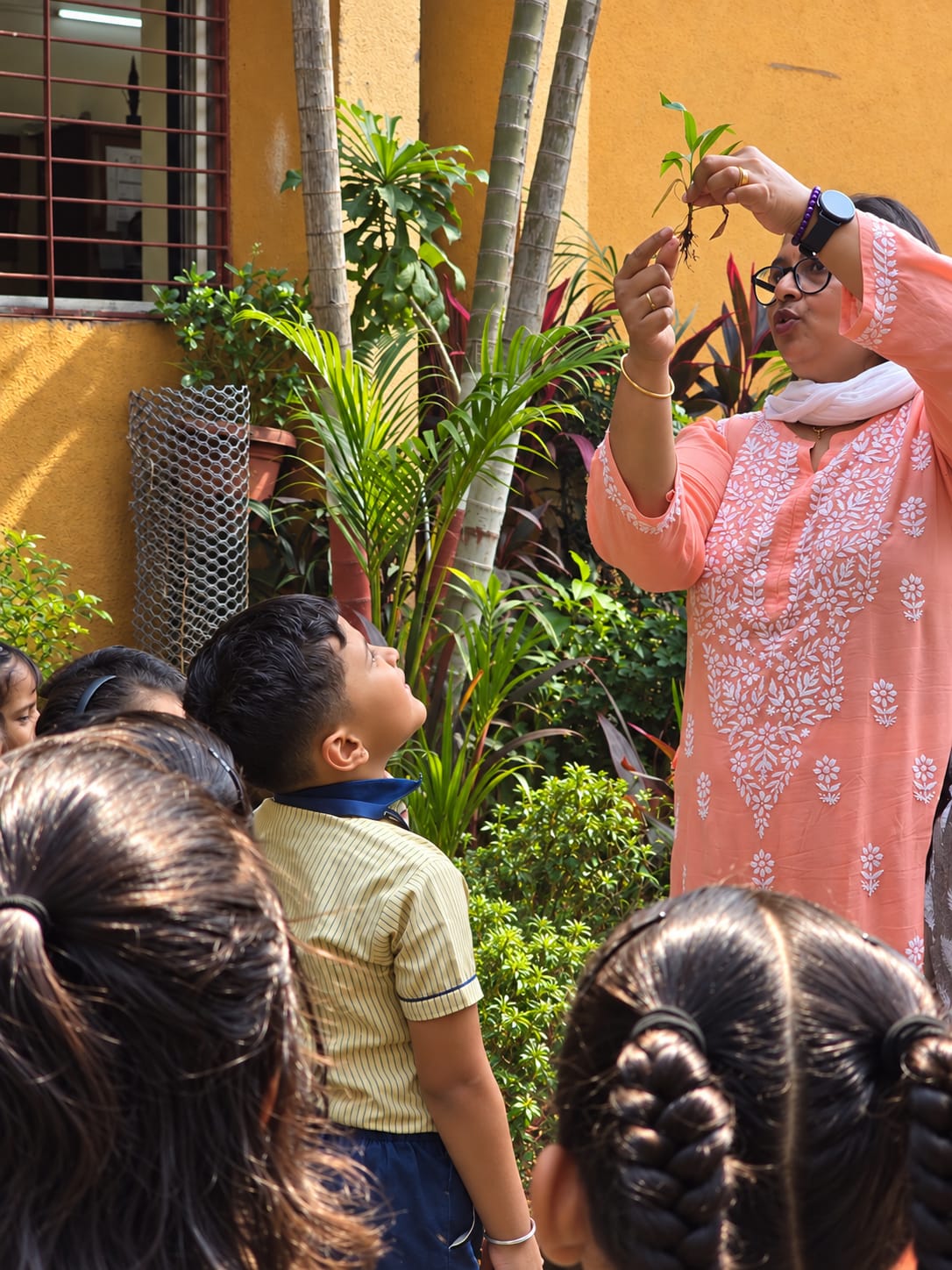 Senior KG students watch a teacher show a plant's root and shoot during the Nature Walk